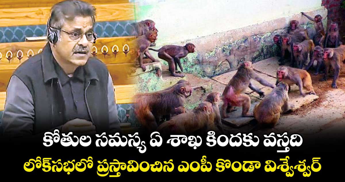 కోతుల సమస్య  ఏ శాఖ కిందకు వస్తది..లోక్‌‌‌‌‌‌‌‌‌‌‌‌‌‌‌‌సభలో ప్రస్తావించిన ఎంపీ కొండా విశ్వేశ్వర్‌‌‌‌‌ రెడ్డి