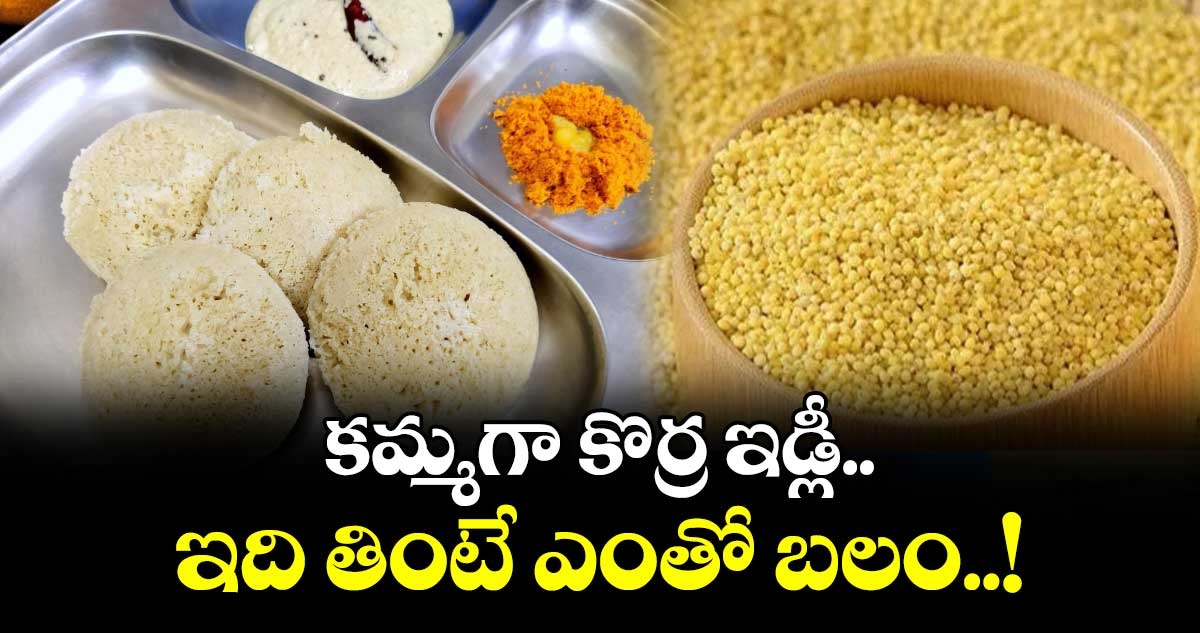 Healthy Breakfast :  కమ్మగా కొర్ర ఇడ్లీ.. ఇది తింటే ఎంతో బలం..!