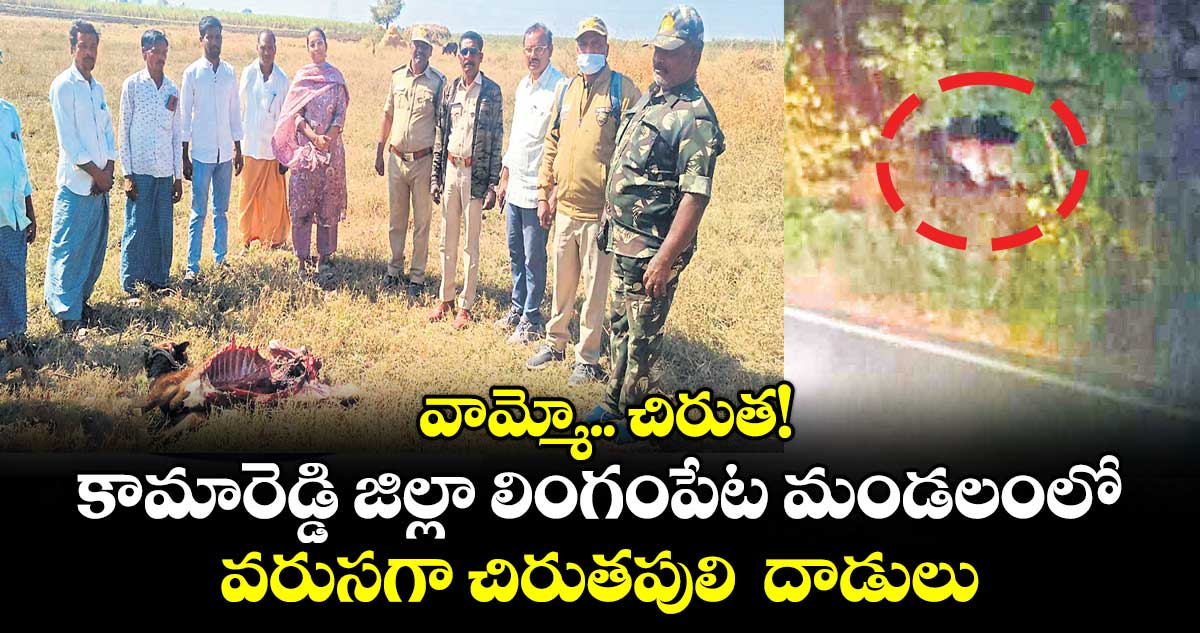 వామ్మో.. చిరుత!.. కామారెడ్డి జిల్లా లింగంపేట మండలంలో వరుసగా చిరుతపులి  దాడులు