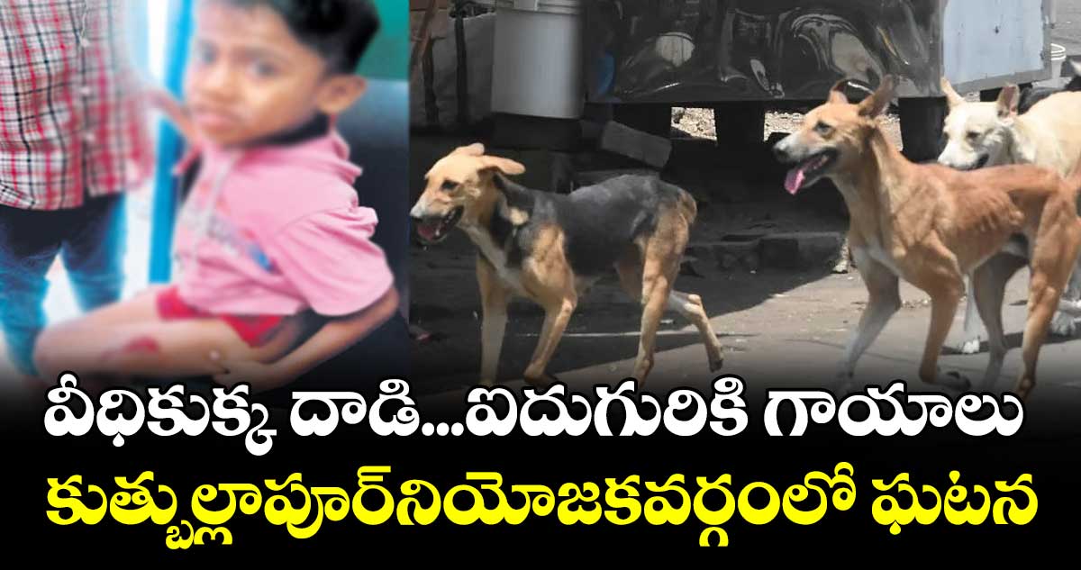 వీధికుక్క దాడి...ఐదుగురికి గాయాలు..  కుత్బుల్లాపూర్నియోజకవర్గంలో ఘటన