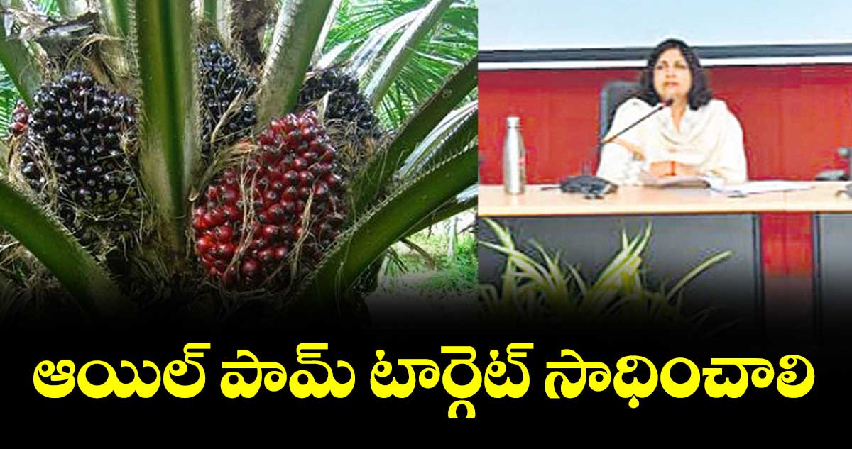 ఆయిల్ పామ్ టార్గెట్ సాధించాలి : కలెక్టర్  విజయేందిర బోయి