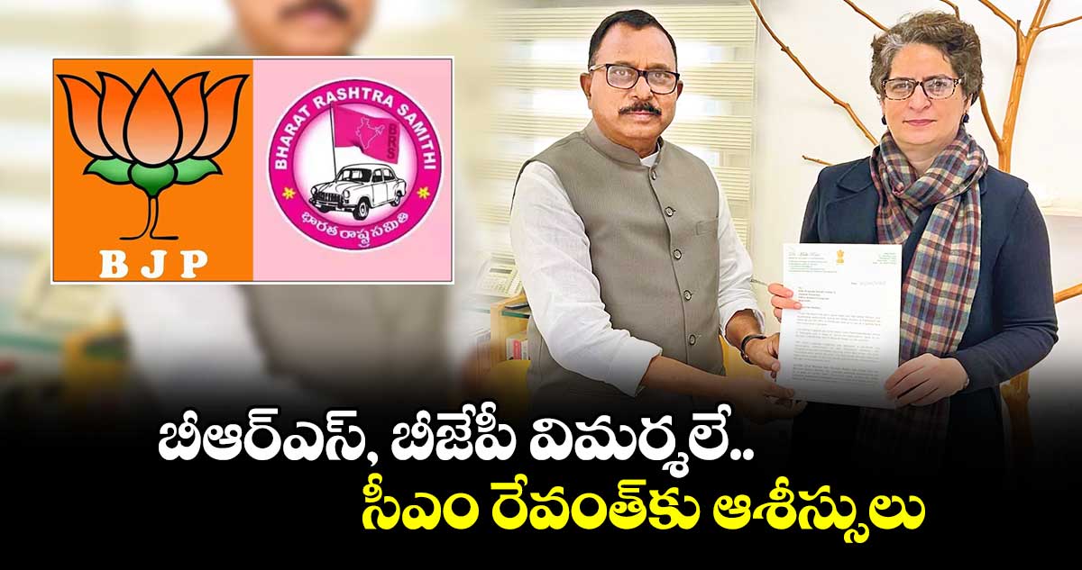 బీఆర్ఎస్, బీజేపీ విమర్శలే..సీఎం రేవంత్కు ఆశీస్సులు :  మల్లు రవి