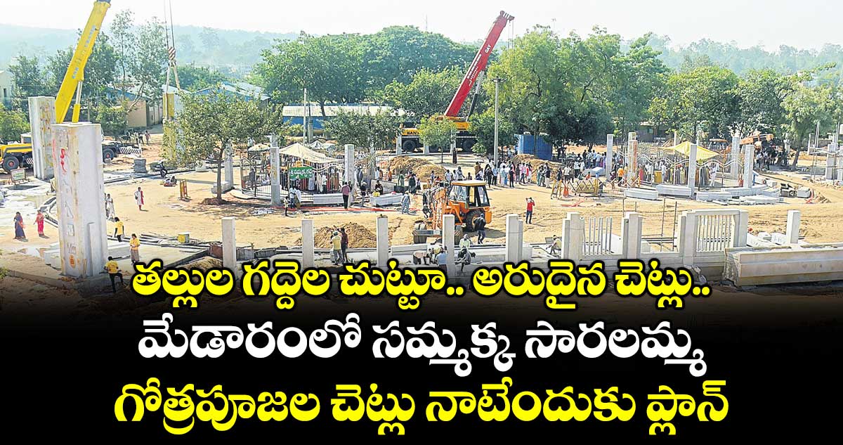 తల్లుల గద్దెల చుట్టూ.. అరుదైన చెట్లు..  మేడారంలో సమ్మక్క సారలమ్మ గోత్రపూజల చెట్లు నాటేందుకు ప్లాన్‌