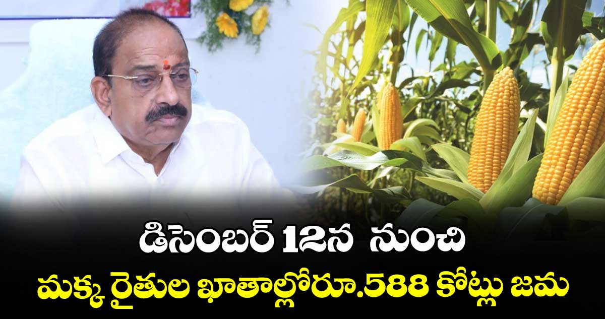  డిసెంబర్ 12న  నుంచి మక్క రైతుల ఖాతాల్లోరూ.588 కోట్లు జమ : మంత్రి తుమ్మల నాగేశ్వర్రావు