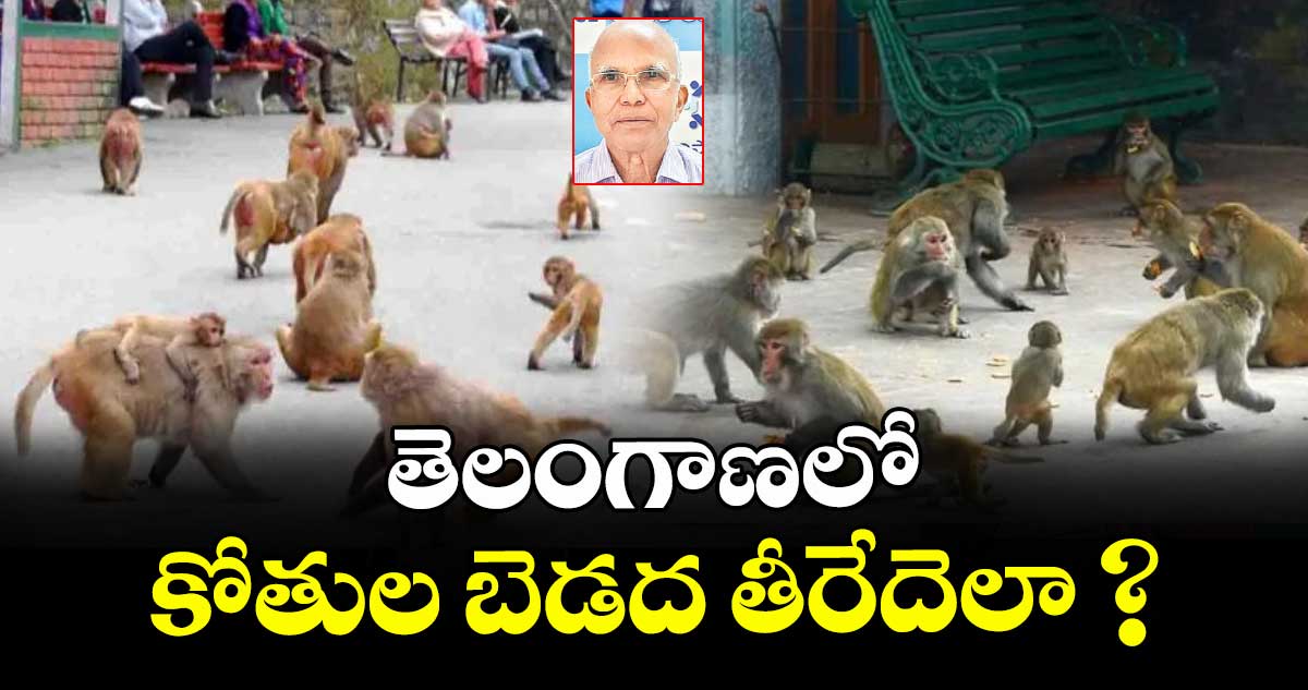 తెలంగాణలో కోతుల బెడ‌‌‌‌ద తీరేదెలా ?