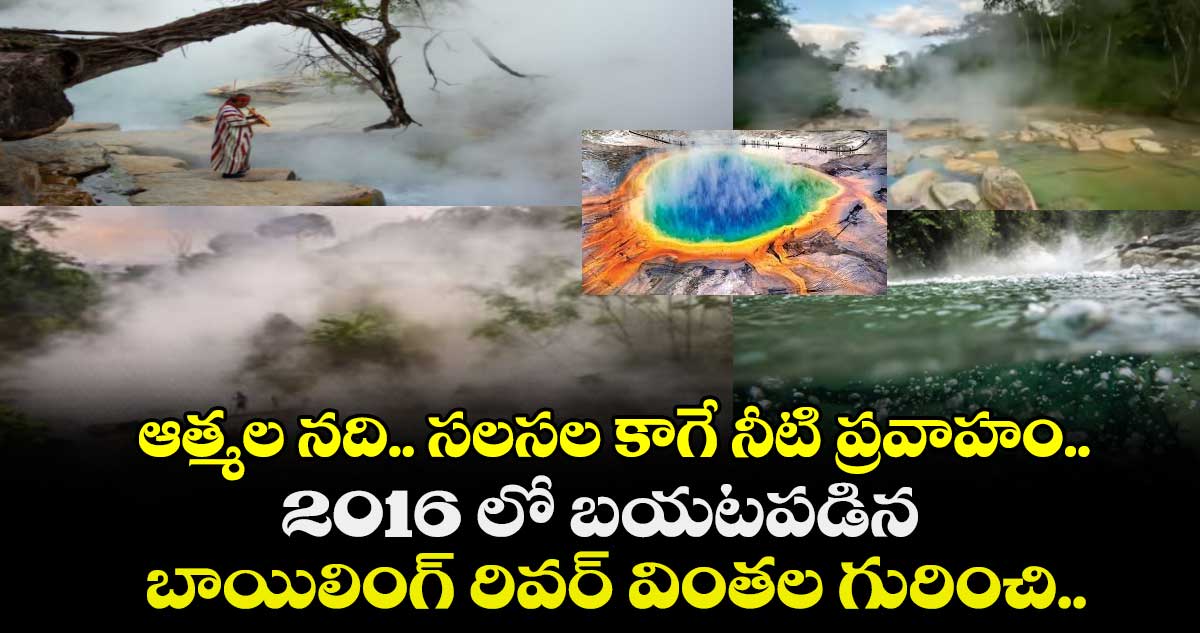 ఆత్మల నది.. సలసల కాగే నీటి ప్రవాహం.. 2016 లో బయటపడిన బాయిలింగ్ రివర్ వింతల గురించి..