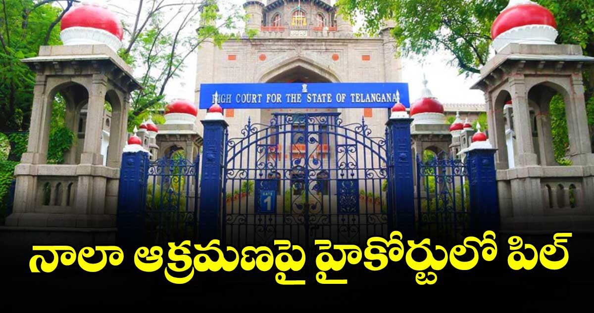 నాలా ఆక్రమణపై హైకోర్టులో పిల్