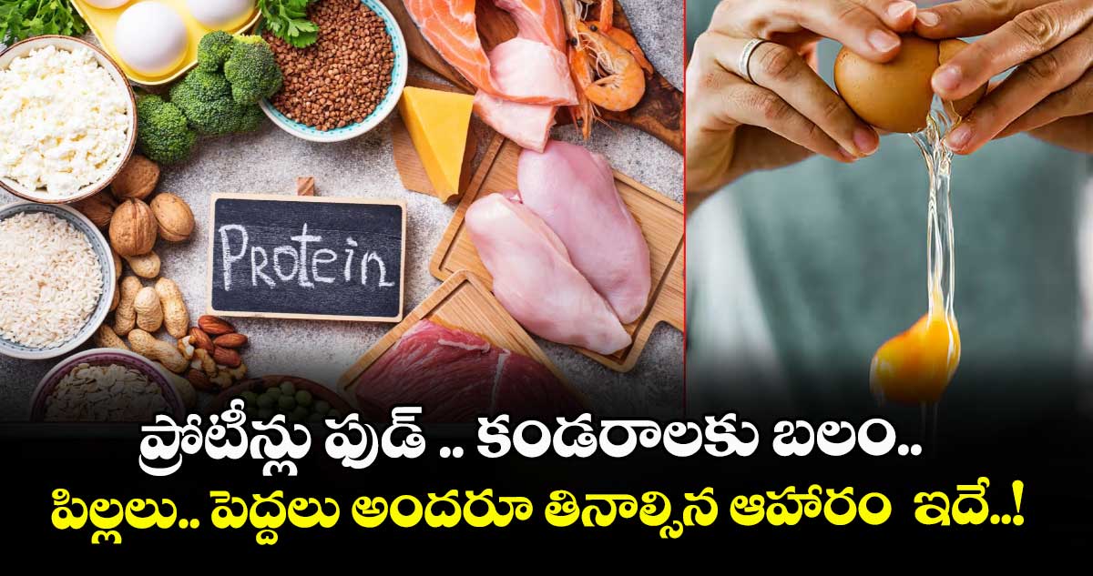 Good health:  ప్రోటీన్లు ఫుడ్ .. కండరాలకు బలం..   పిల్లలు.. పెద్దలు అందరూ తినాల్సిన ఆహారం  ఇదే..!