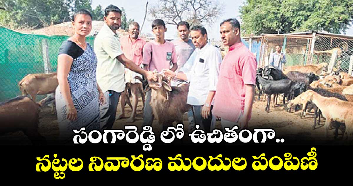 సంగారెడ్డి లో ఉచితంగా నట్టల నివారణ మందుల పంపిణీ