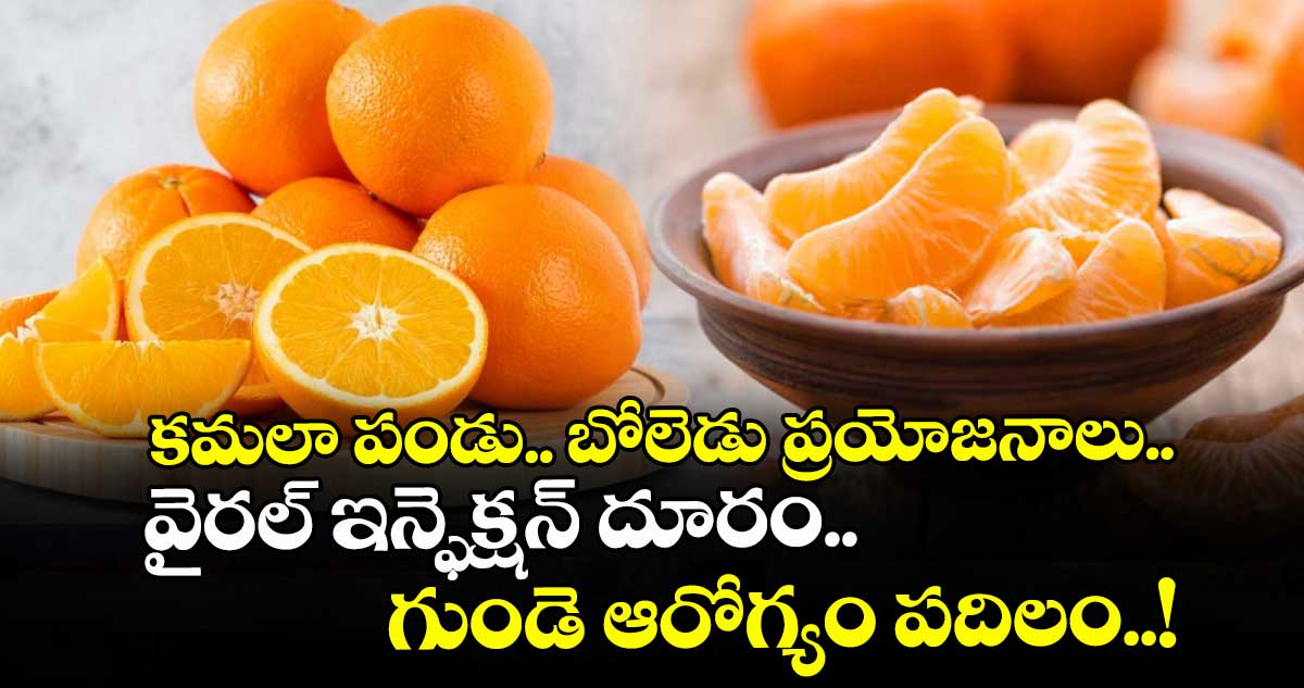 Season Fruit: కమలా పండు.. బోలెడు ప్రయోజనాలు.. వైరల్ ఇన్ఫెక్షన్ దూరం.. గుండె ఆరోగ్యం పదిలం..! 