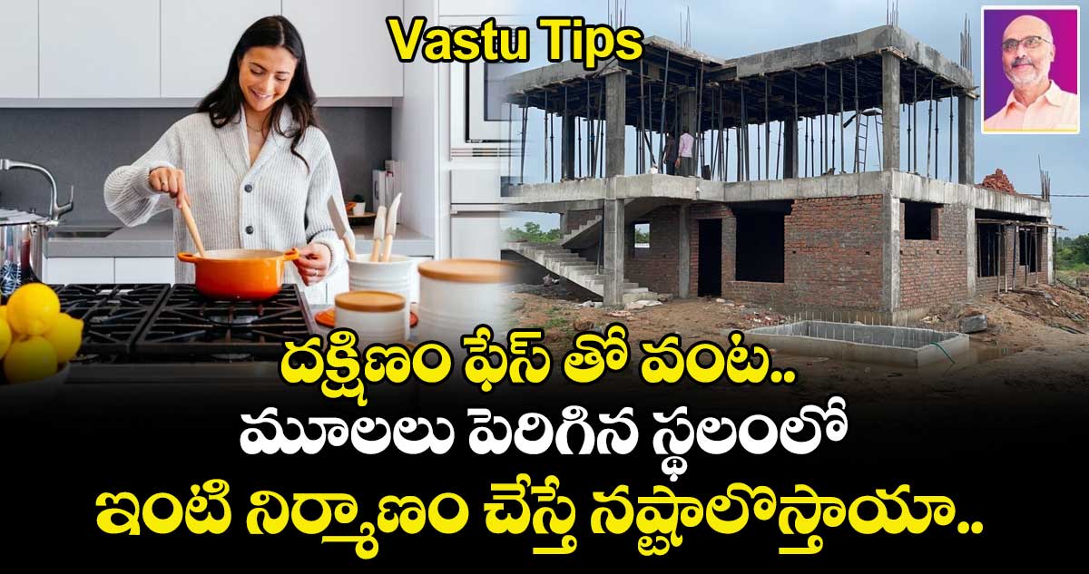 Vastu Tips :   దక్షిణం ఫేస్ తో వంట.. మూలలు పెరిగిన స్థలంలో ఇంటి నిర్మాణం  చేస్తే నష్టాలొస్తాయా.. పరిష్కార మార్గాలు ఇవే..!