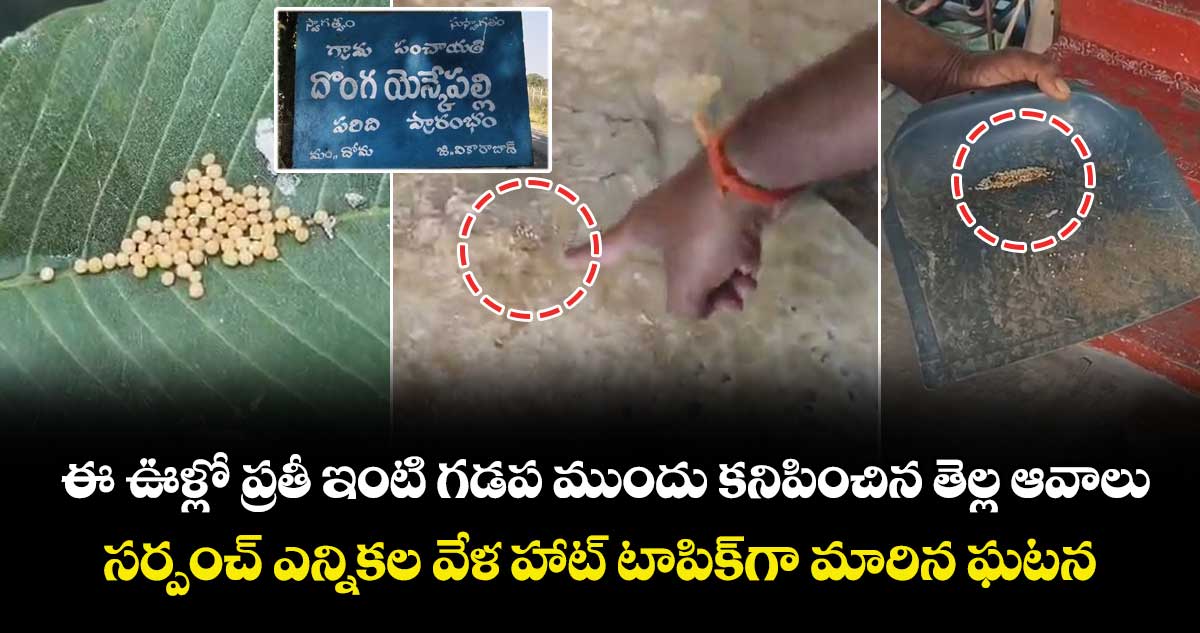 ఈ ఊళ్లో ప్రతీ ఇంటి గడప ముందు కనిపించిన తెల్ల ఆవాలు.. సర్పంచ్ ఎన్నికల వేళ హాట్ టాపిక్⁪గా మారిన ఘటన