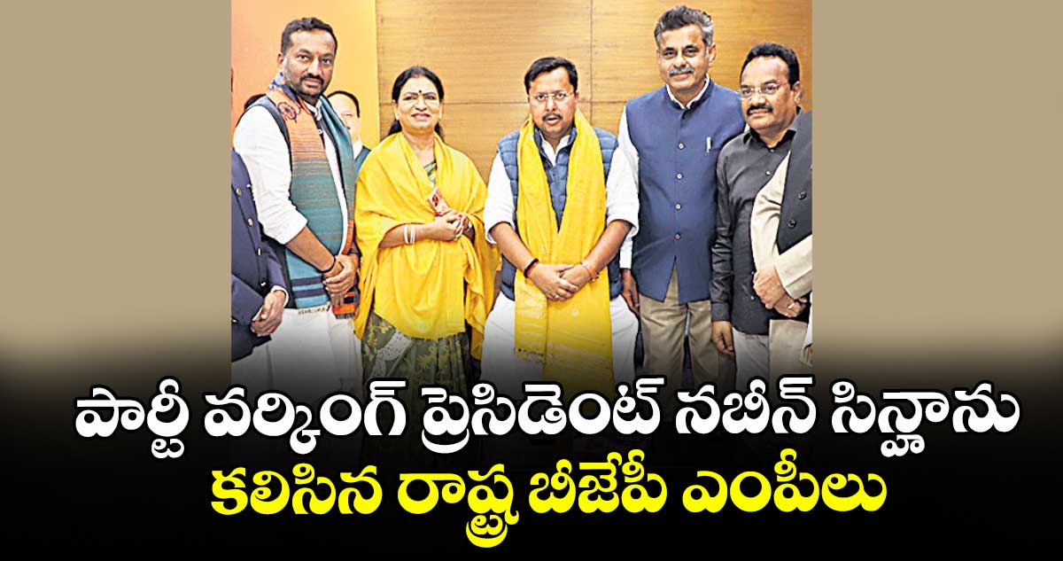 పార్టీ వర్కింగ్ ప్రెసిడెంట్ నబీన్ సిన్హాను కలిసిన రాష్ట్ర బీజేపీ ఎంపీలు