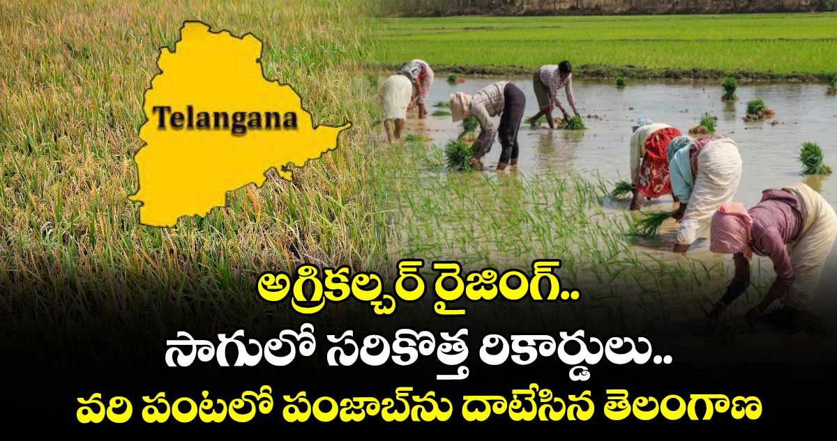 సాగులో సరికొత్త రికార్డులు..వరి పంటలో పంజాబ్ ను దాటేసిన తెలంగాణ