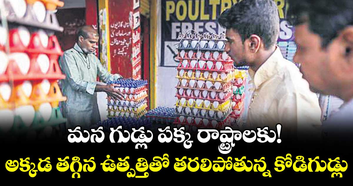 మన గుడ్లు పక్క రాష్ట్రాలకు! అక్కడ తగ్గిన ఉత్పత్తితో తరలిపోతున్న కోడిగుడ్లు