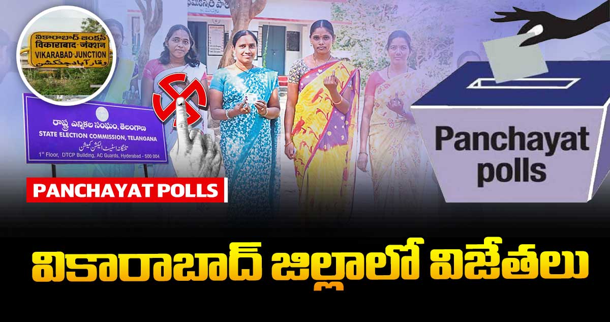 వికారాబాద్ జిల్లాలో విజేతలు