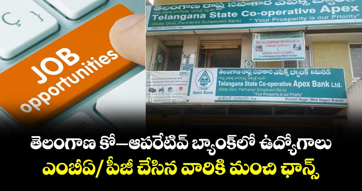 తెలంగాణ కో–ఆపరేటివ్ బ్యాంక్లో ఉద్యోగాలు.. ఎంబీఏ/ పీజీ  చేసిన వారికి మంచి ఛాన్స్..