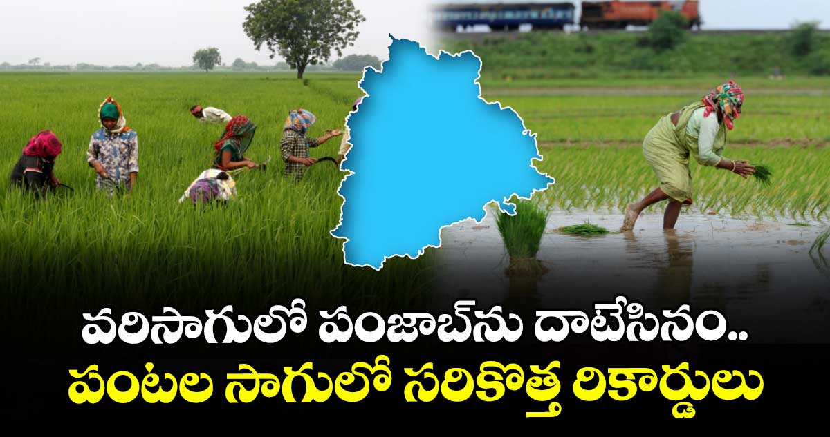 వరిసాగులో పంజాబ్‌‌‌‌‌‌‌‌ను దాటేసినం..పంటల సాగులో సరికొత్త రికార్డులు