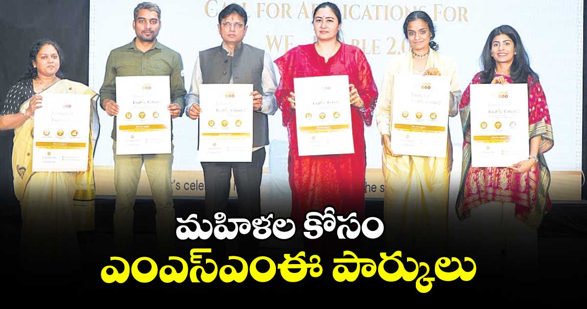 మహిళల కోసం ఎంఎస్‌‌ఎంఈ పార్కులు :  మంత్రి శ్రీధర్ బాబు
