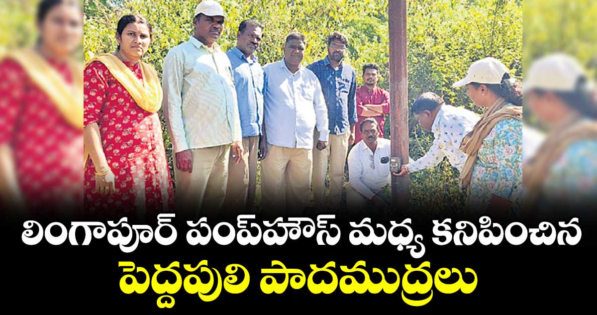 లింగాపూర్ - పంప్హౌస్ మధ్య కనిపించిన పెద్దపులి పాదముద్రలు