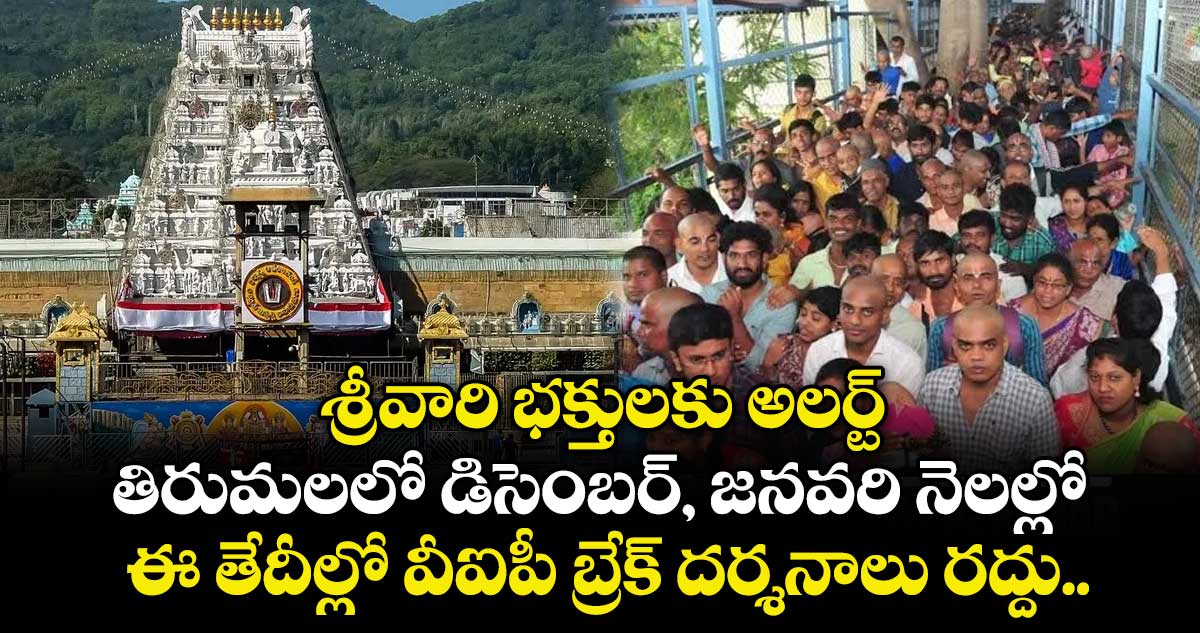 శ్రీవారి భక్తులకు అలర్ట్: తిరుమలలో డిసెంబర్, జనవరి నెలల్లో ఈ తేదీల్లో వీఐపీ బ్రేక్ దర్శనాలు రద్దు..  
