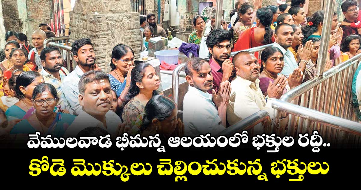వేములవాడ భీమన్న ఆలయంలో భక్తుల రద్దీ..కోడె మొక్కులు చెల్లించుకున్న భక్తులు