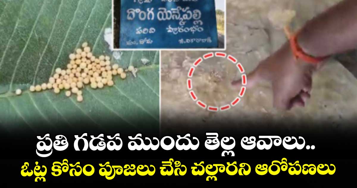 ప్రతి గడప ముందు తెల్ల ఆవాలు..ఓట్ల కోసం పూజలు చేసి చల్లారని ఆరోపణలు