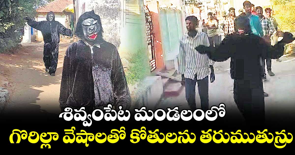 శివ్వంపేట మండలంలో  గొరిల్లా వేషాలతో కోతులను తరుముతున్రు
