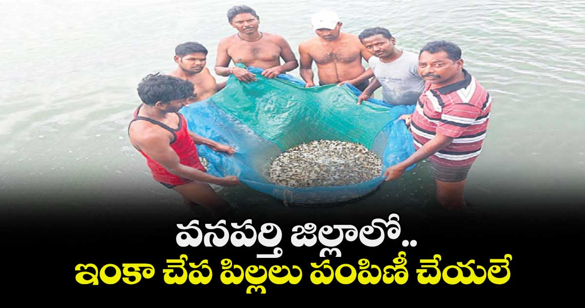 వనపర్తి జిల్లాలో..ఇంకా చేప పిల్లలు పంపిణీ చేయలే