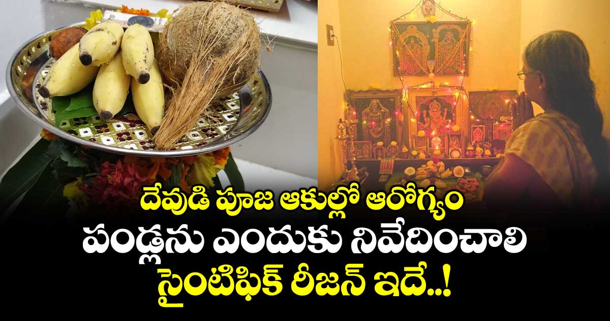 ఆధ్యాత్మికం :   దేవుడి పూజ ఆకుల్లో ఆరోగ్యం ..పండ్లను ఎందుకు నివేదించాలి.. సైంటిఫిక్ రీజన్ ఇదే..!