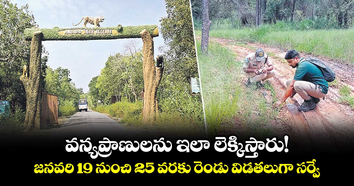 వన్యప్రాణులను  ఇలా లెక్కిస్తారు!..జనవరి 19 నుంచి 25 వరకు రెండు విడతలుగా సర్వే