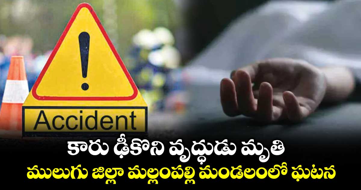 కారు ఢీకొని వృద్ధుడు మృతి.. ములుగు జిల్లా మల్లంపల్లి మండలంలో ఘటన