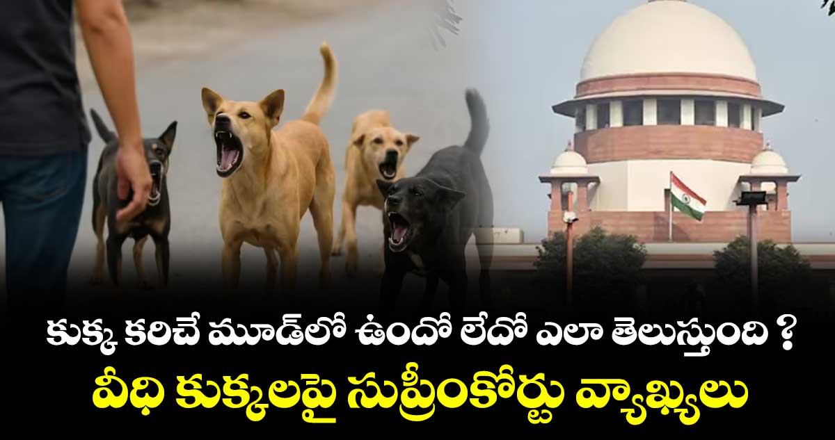 కుక్క కరిచే మూడ్‌లో ఉందో లేదో ఎలా తెలుస్తుంది ?: వీధి కుక్కలపై సుప్రీంకోర్టు వ్యాఖ్యలు