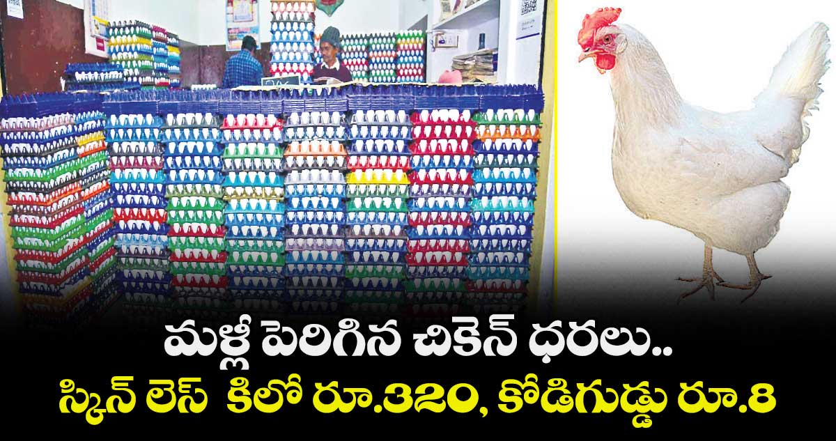 మళ్లీ పెరిగిన  చికెన్ ధరలు..స్కిన్ లెస్  కిలో రూ.320, కోడిగుడ్డు రూ.8