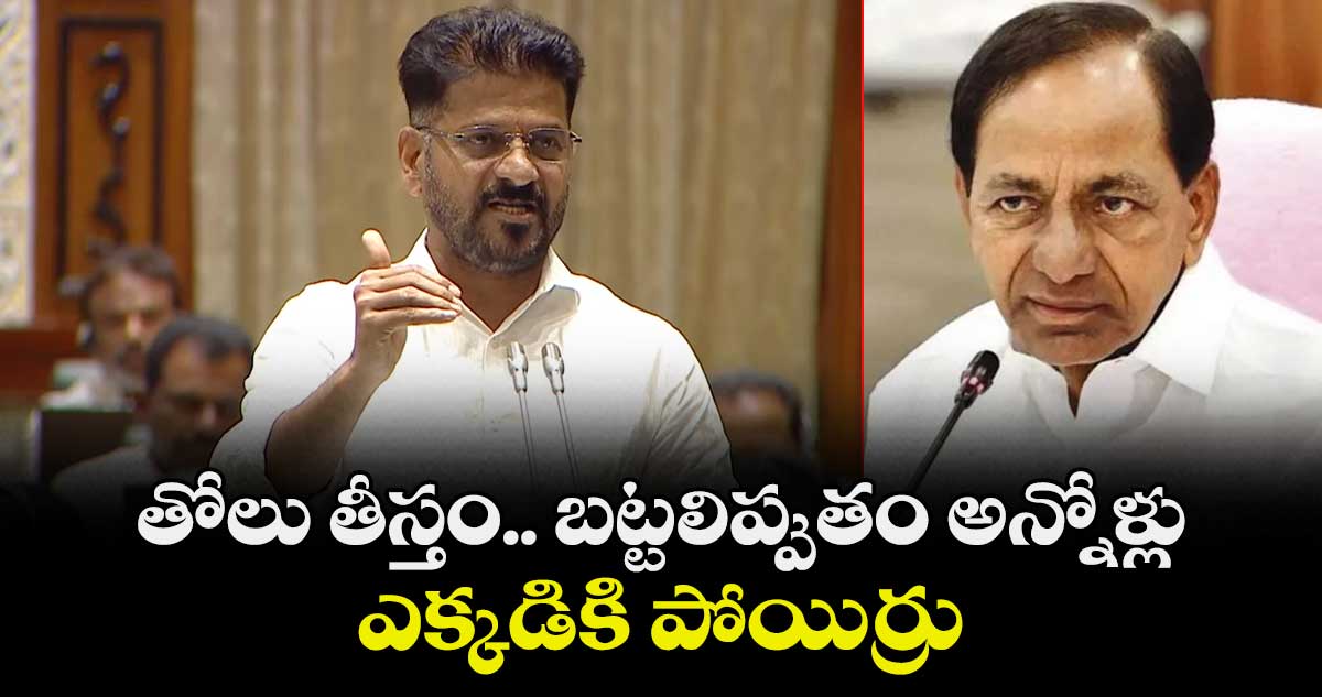 తోలు తీస్తం.. బట్టలిప్పుతం అన్నోళ్లు ఎక్కడికి పోయిర్రు: కేసీఆర్‎కు సీఎం రేవంత్ కౌంటర్