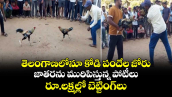 తెలంగాణలోనూ కోడి పందేల జోరు.. జాతరను మురిపిస్తున్న పోటీలు.. రూ.లక్షల్లో బెట్టింగ్⁭లు