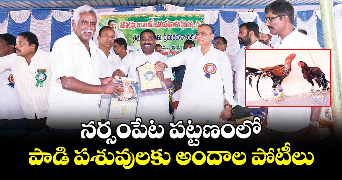నర్సంపేట పట్టణంలో పాడి పశువులకు అందాల పోటీలు