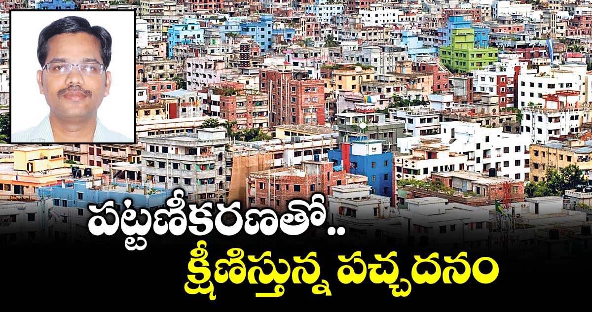 వెలుగు ఓపెన్ పేజీ:  పట్టణీకరణతో క్షీణిస్తున్న పచ్చదనం
