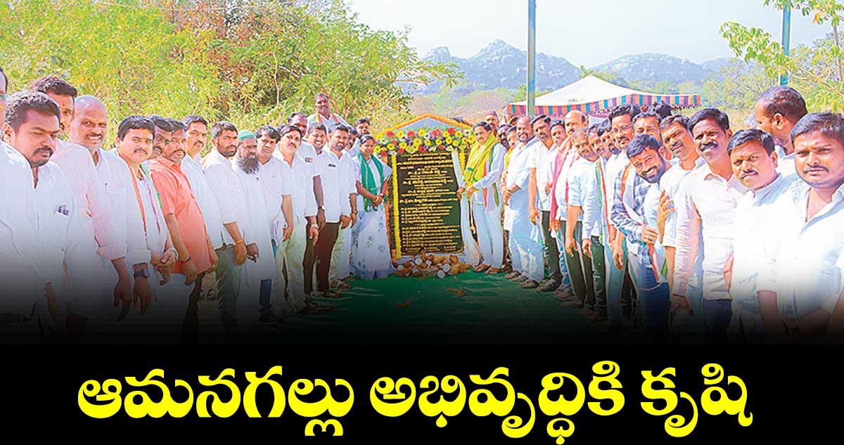 ఆమనగల్లు అభివృద్ధికి కృషి : ఎమ్మెల్యే కసిరెడ్డి నారాయణరెడ్డి