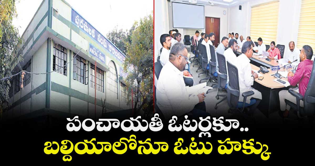 పంచాయతీ ఓటర్లకూ..  బల్దియాలోనూ ఓటు హక్కు