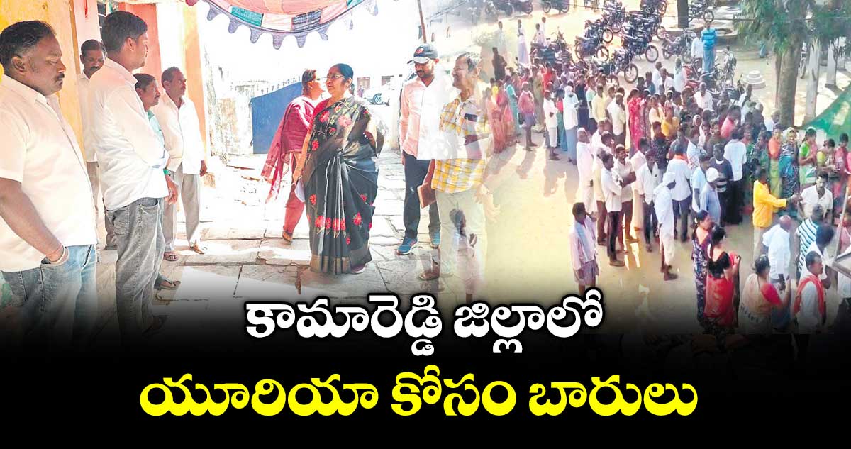 కామారెడ్డి జిల్లాలో  యూరియా కోసం బారులు