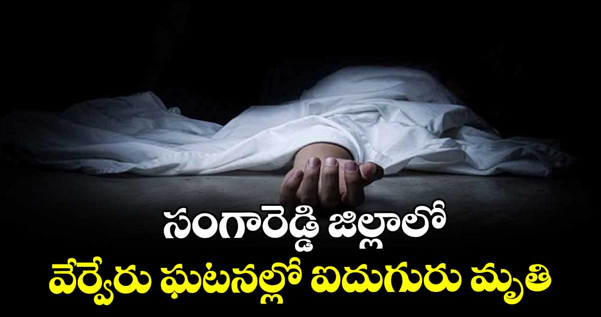 సంగారెడ్డి జిల్లాలో వేర్వేరు ఘటనల్లో ఐదుగురు మృతి