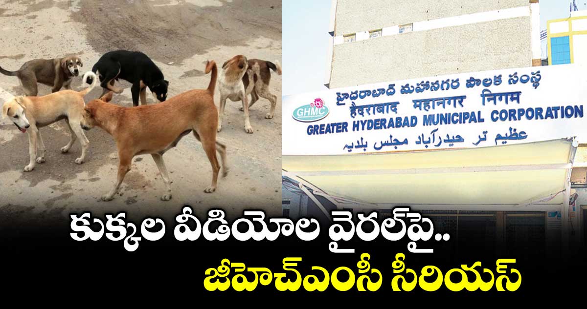 కుక్కల వీడియోల వైరల్పై జీహెచ్ఎంసీ సీరియస్