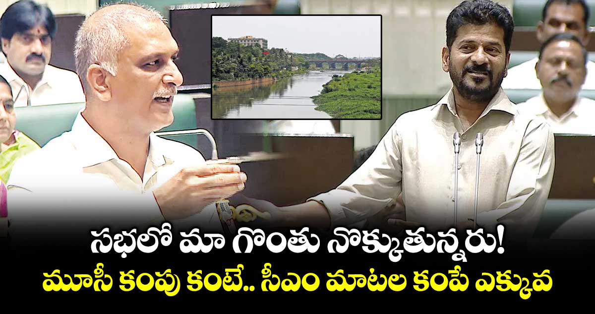 సభలో మా గొంతు నొక్కుతున్నరు!.. మూసీ కంపు కంటే.. సీఎం మాటల కంపే ఎక్కువ: హరీశ్ రావు