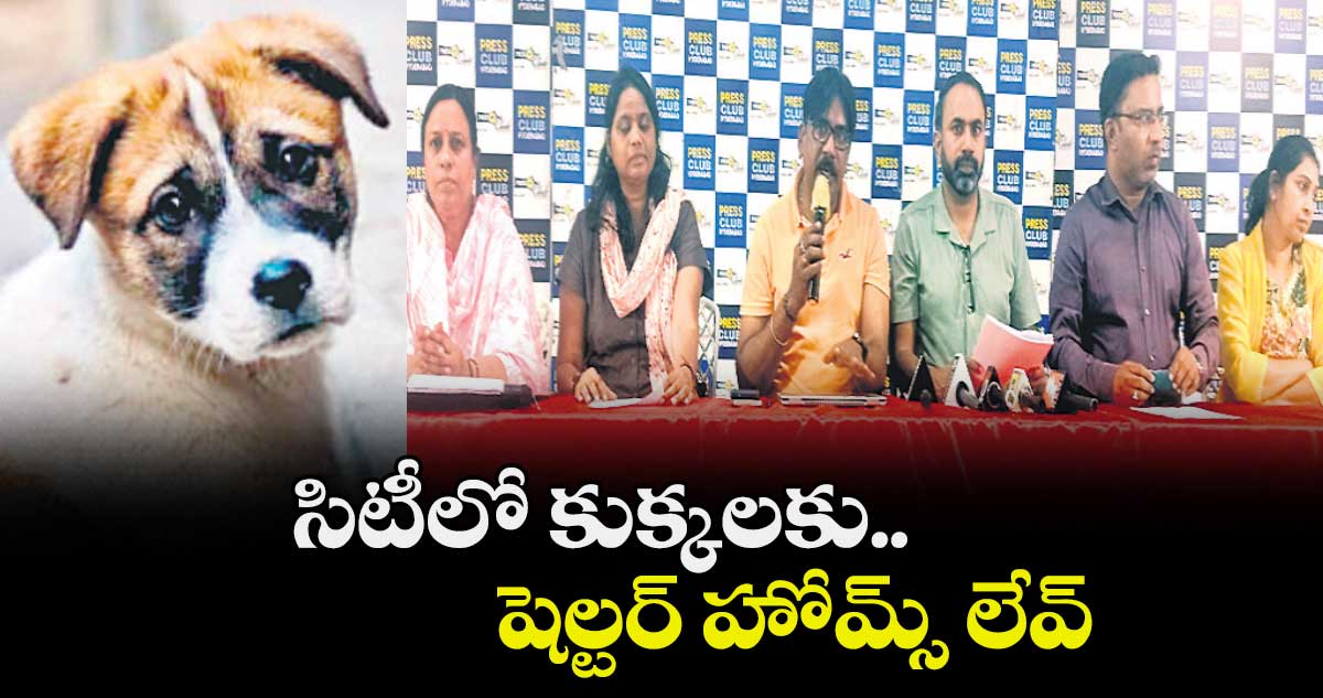 సిటీలో కుక్కలకు..  షెల్టర్ హోమ్స్ లేవ్