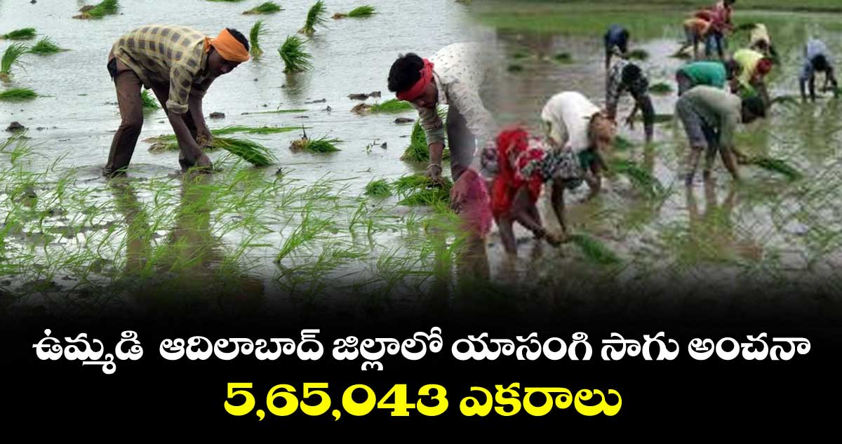 ఉమ్మడి  ఆదిలాబాద్ జిల్లాలో యాసంగి సాగు అంచనా.. 5,65,043 ఎకరాలు