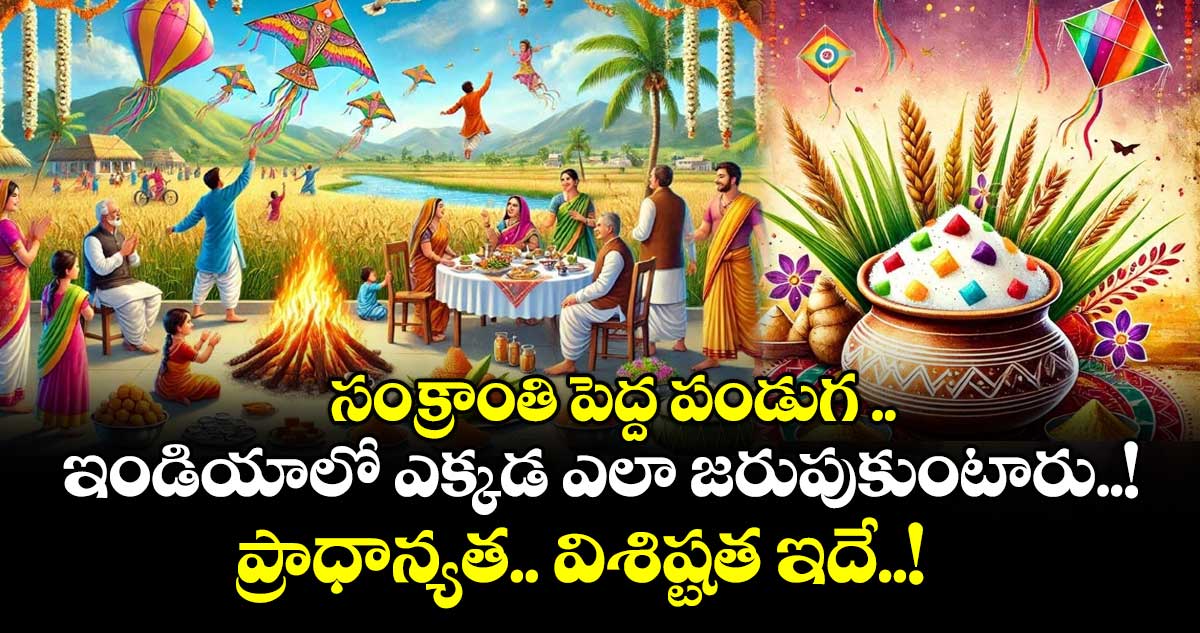 Sankranti 2026 :  సంక్రాంతి పెద్ద పండుగ .. ఇండియాలో ఎక్కడ ఎలా జరుపుకుంటారు..! ప్రాధాన్యత.. విశిష్టత ఇదే..!