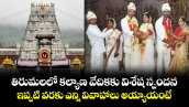 తిరుమలలో కల్యాణ వేదికకు విశేష స్పందన.. ఇప్పటి వరకు ఎన్ని వివాహాలు అయ్యాయంటే...