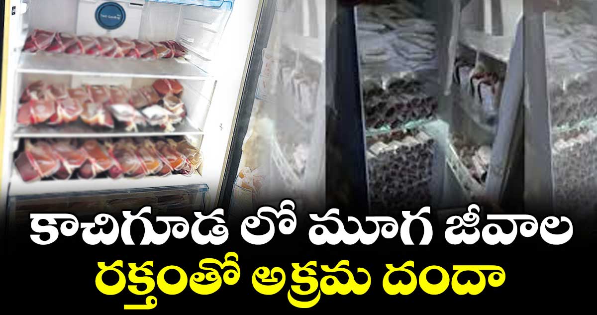కాచిగూడ లో మూగ జీవాల రక్తంతో అక్రమ దందా