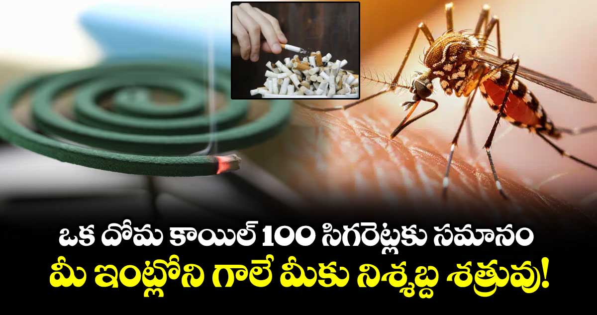 ఒక దోమ కాయిల్ 100 సిగరెట్లకు సమానం.. మీ ఇంట్లోని గాలే మీకు నిశ్శబ్ద శత్రువు!